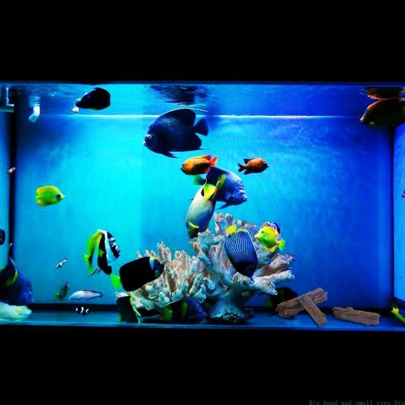 Decorazione acquario Tronco al - Aquarium Plant Substrate recensione e prezzo