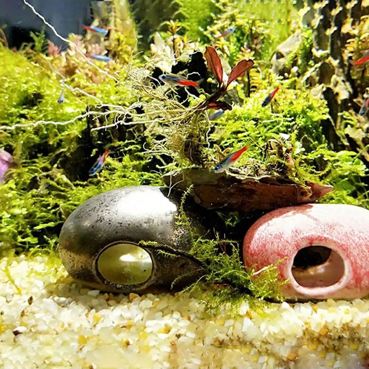1 pz-250g Cristalli Naturali G - Plant Aquarium Pot recensione e prezzo