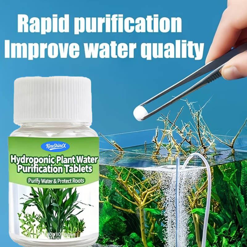 Compresse per la Purificazione - Plant Aquarium Pot recensione e prezzo