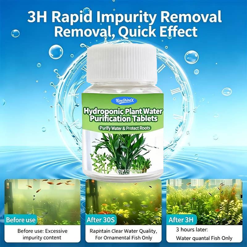 Compresse per la Purificazione - Plant Aquarium Pot recensione e prezzo