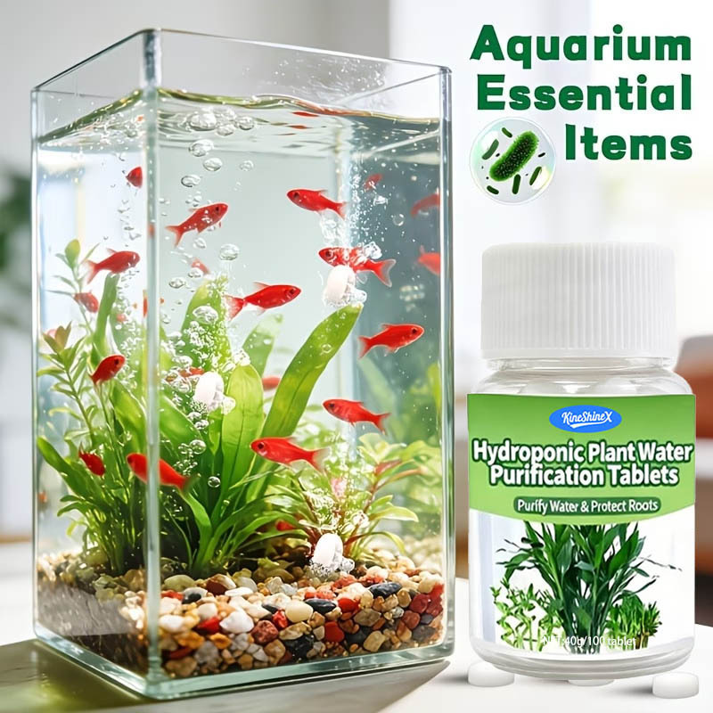 Compresse per la Purificazione - Plant Aquarium Pot recensione e prezzo