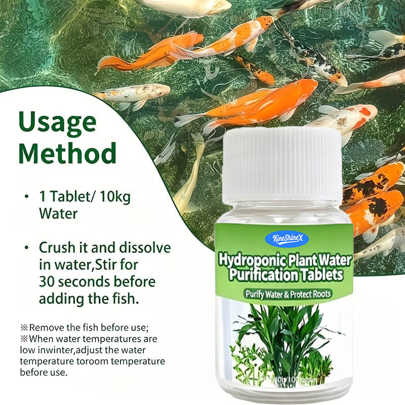 Compresse per la Purificazione - Plant Aquarium Pot recensione e prezzo