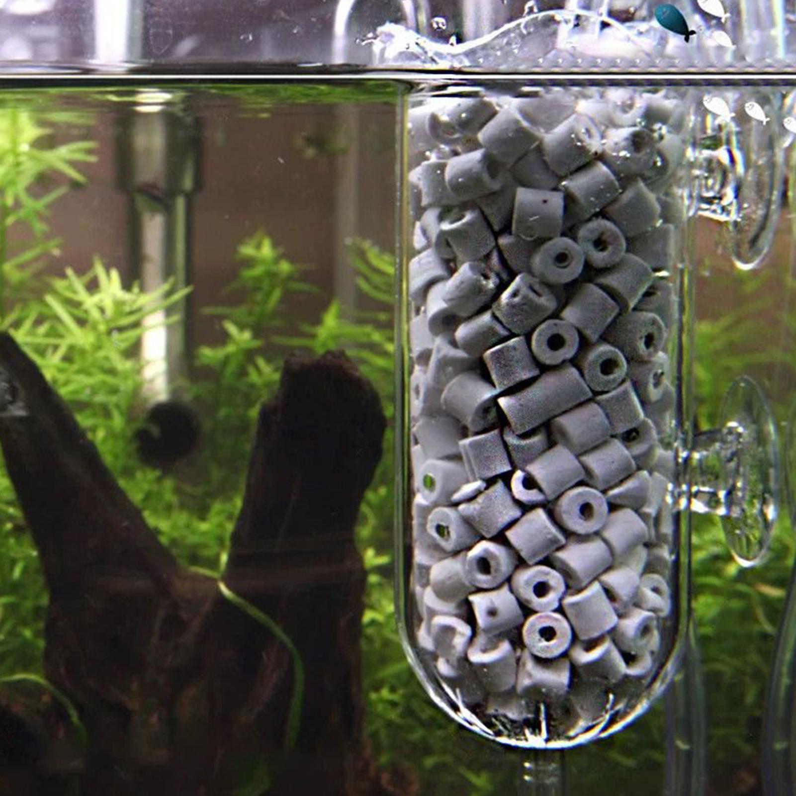 Diffusore di ossigeno per acqu - Aquarium Planted Tank Filter recensione e prezzo