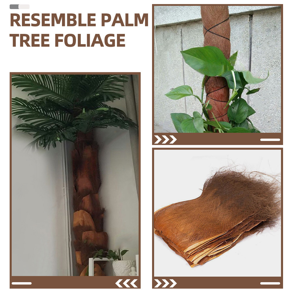 Fogli di corteccia naturale di - Plant Aquarium Pot recensione e prezzo
