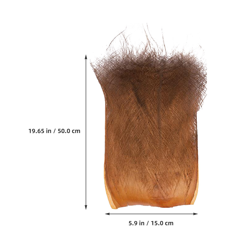 Fogli di corteccia naturale di - Plant Aquarium Pot recensione e prezzo