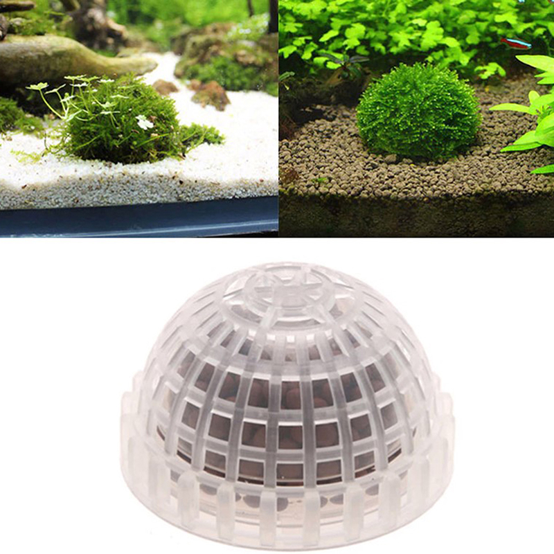 1Pc Accessori per Animali Acqu - Live Plant Aquarium recensione e prezzo