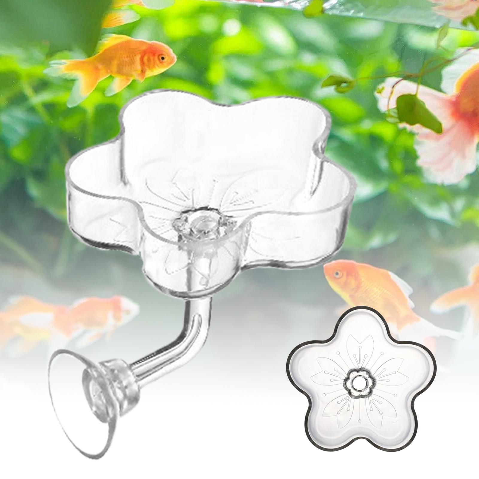 Vassoio Alimentatore per Acqua - Aquarium Fertilizer recensione e prezzo