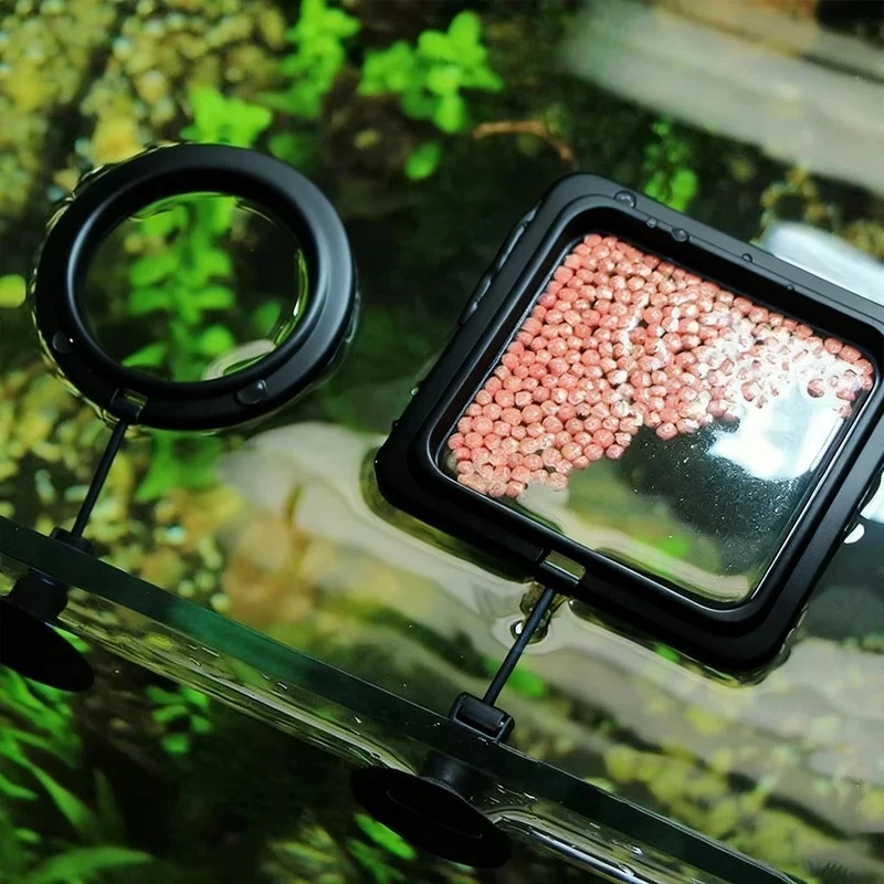 1/3 pezzi Anello per l'aliment - Aquarium Fertilizer recensione e prezzo