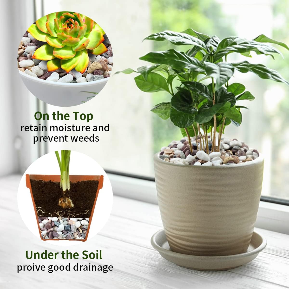 Pietre decorative in ghiaia di - Plant Aquarium Pot recensione e prezzo