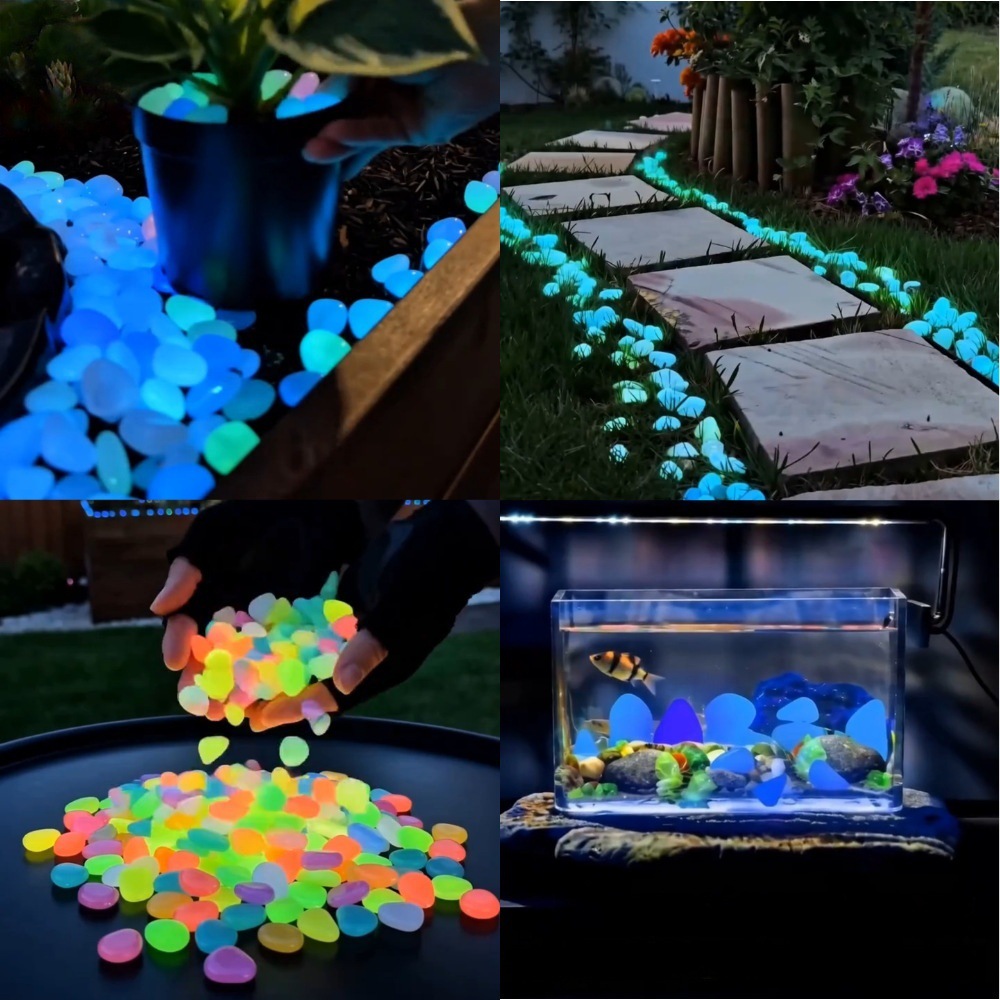 Ciottoli luminosi colorati che - Plant Aquarium Pot recensione e prezzo