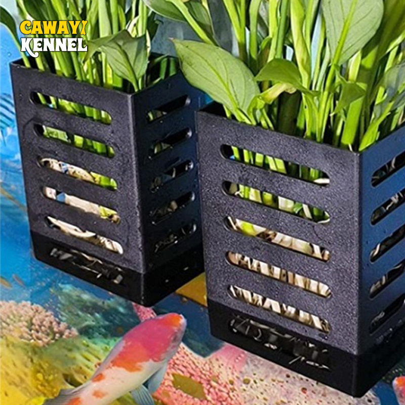 Decorazioni per acquari per an - Aquarium Plants Live recensione e prezzo