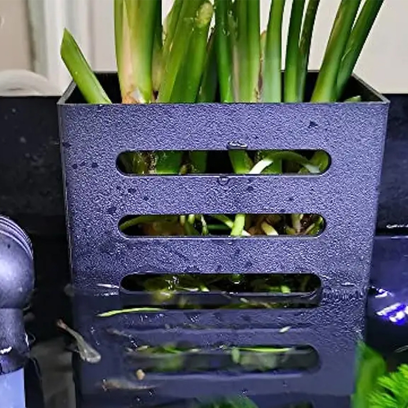 Decorazioni per acquari per an - Aquarium Plants Live recensione e prezzo