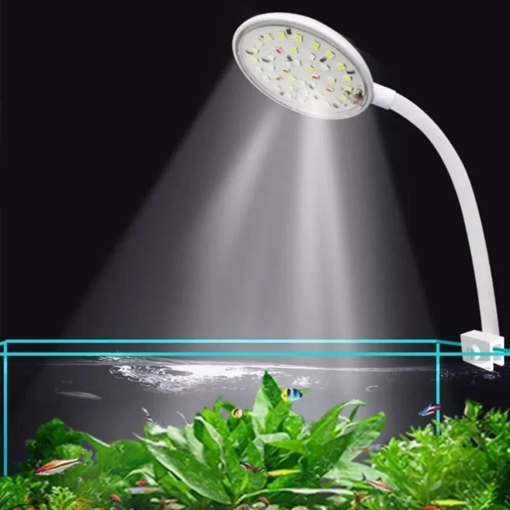 Nuova Mini lampada a Clip per  - Live Plant Aquarium recensione e prezzo