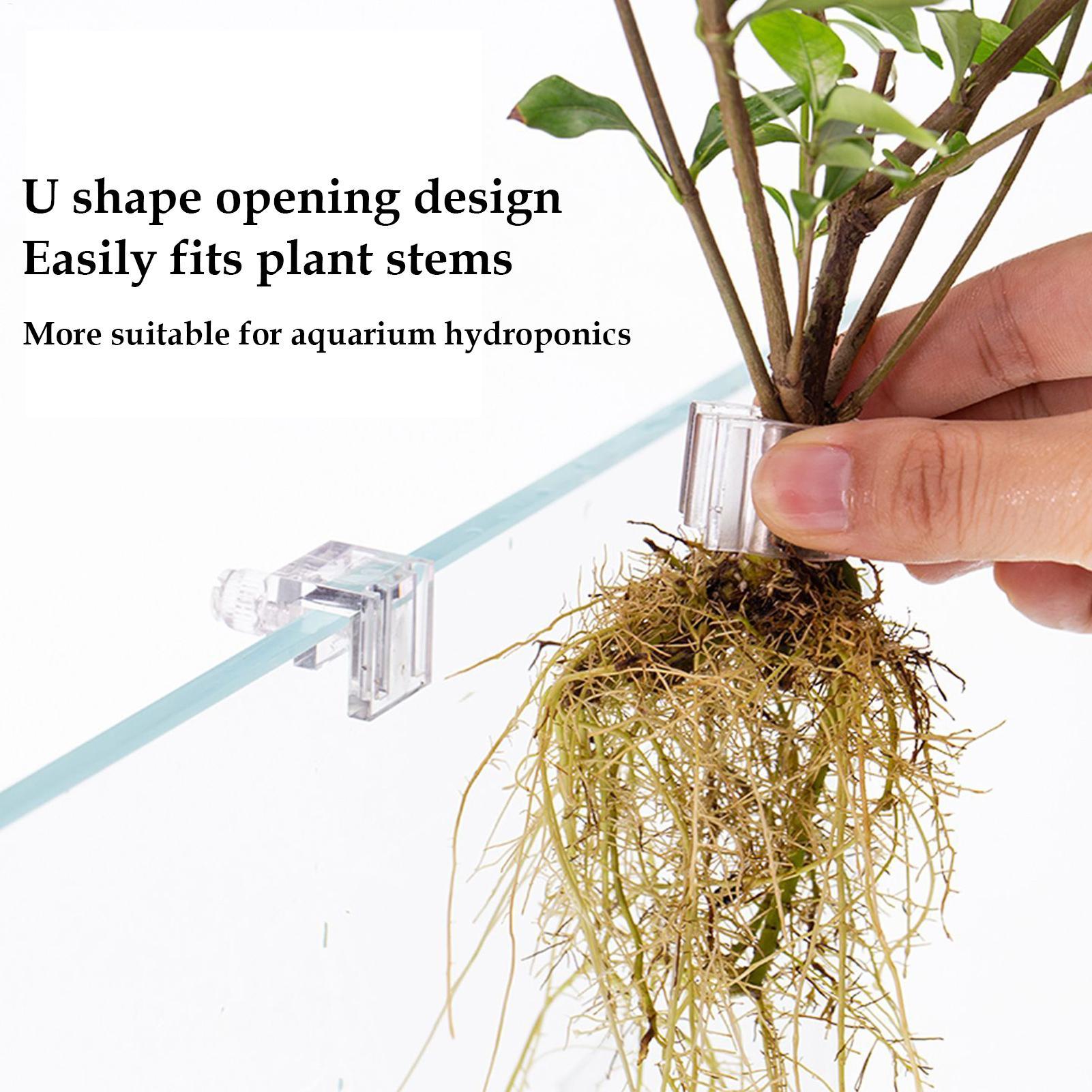 Mini Vaso per Piante da Acquar - Aquarium Plants Live recensione e prezzo