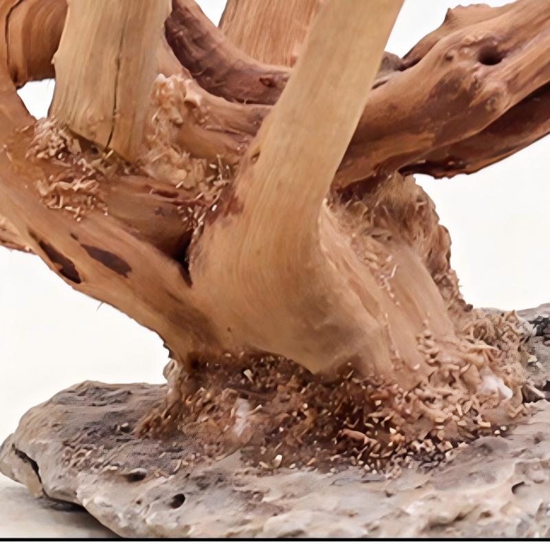 1PC Acquario Paesaggistica Orn - Aquarium Driftwood recensione e prezzo