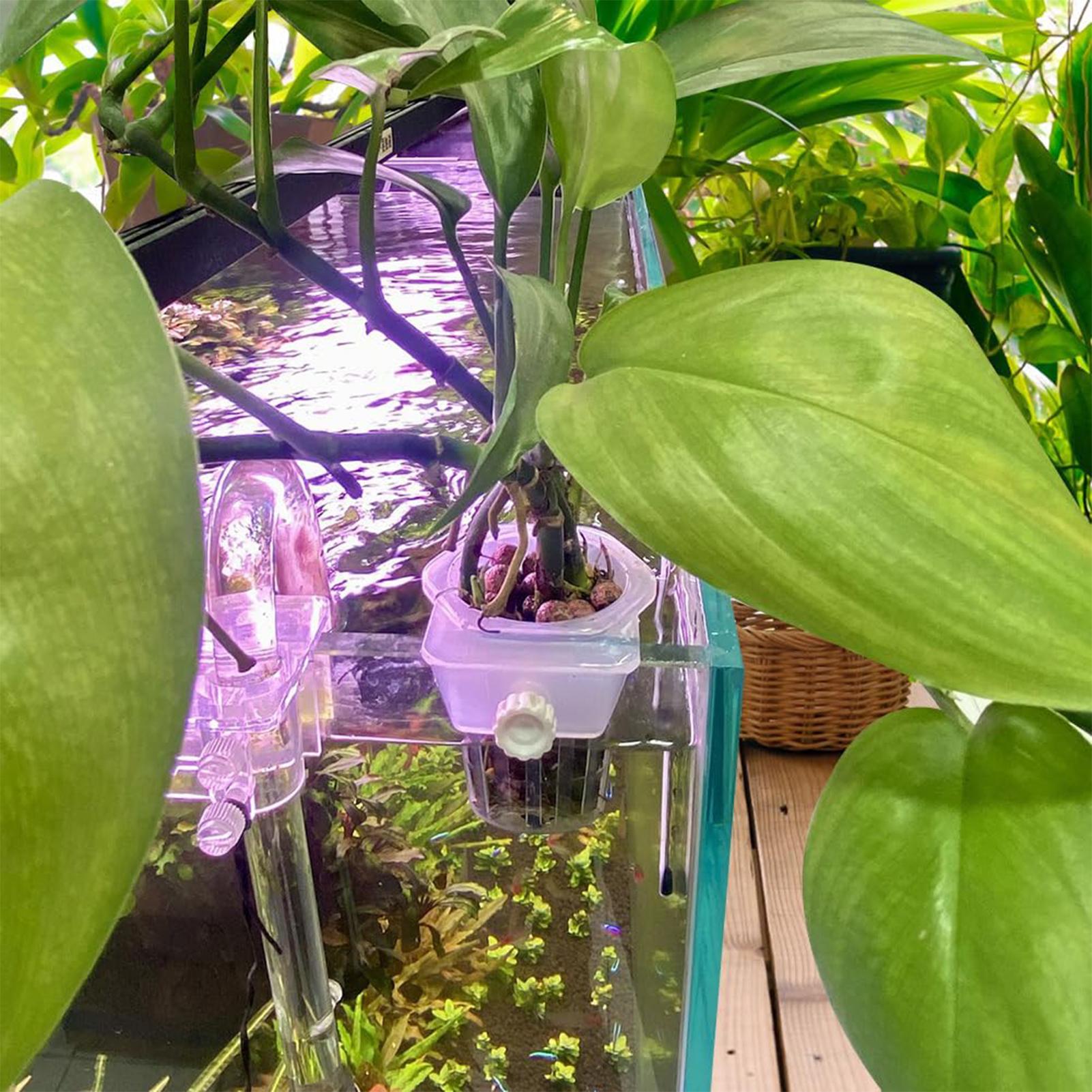 2 pezzi di vasi per piante da  - Plant Aquarium Pot recensione e prezzo