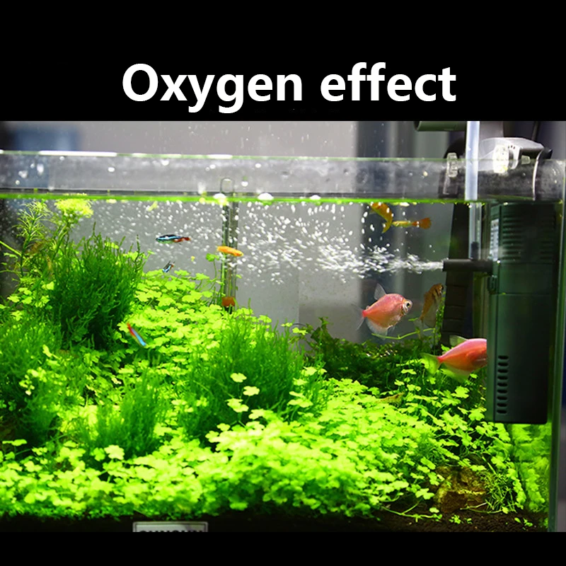 SUNSUN Mini Nano 111B 311B 611 - Aquarium Planted Tank Filter recensione e prezzo