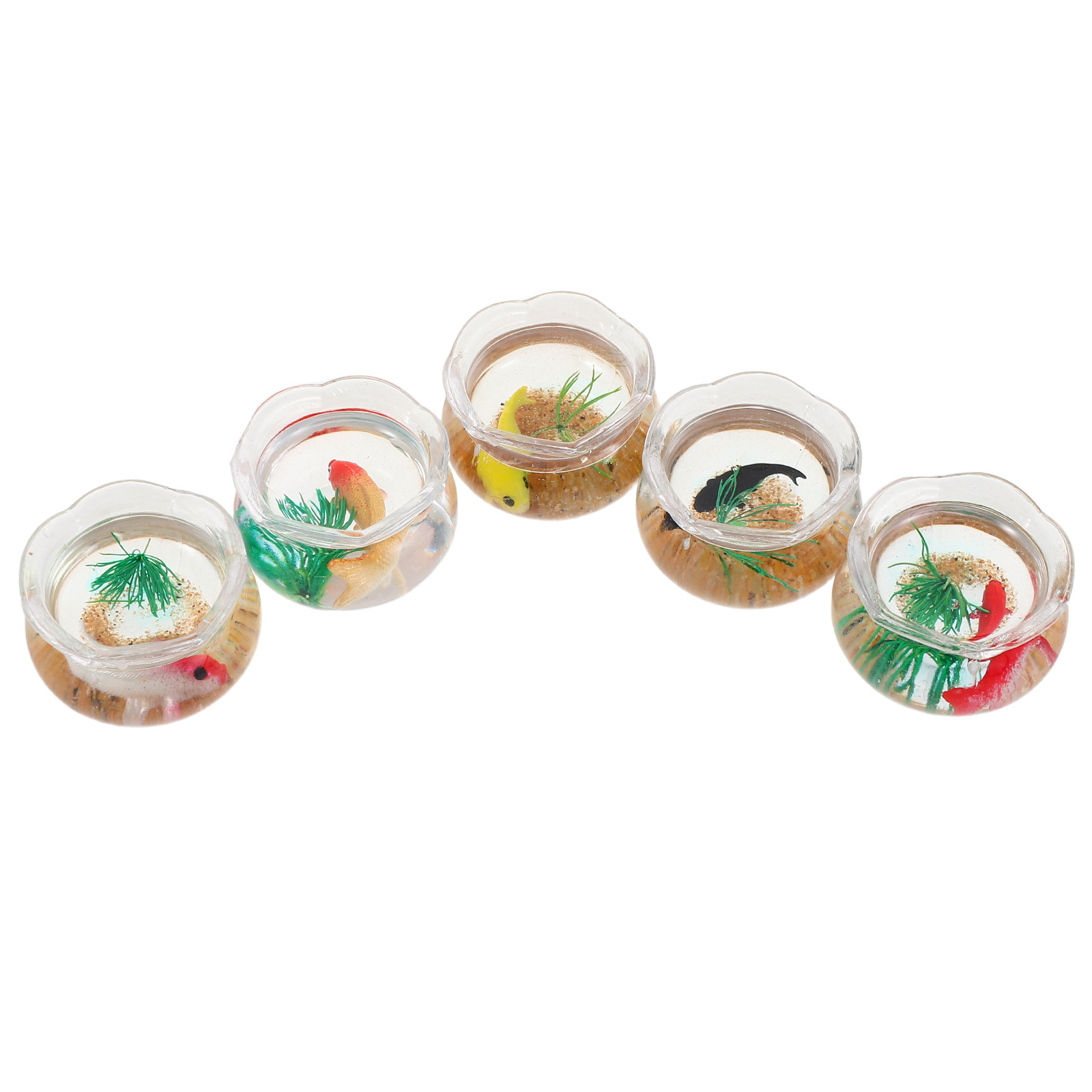 Set da 5 pezzi per un piccolo  - Planted Tank recensione e prezzo