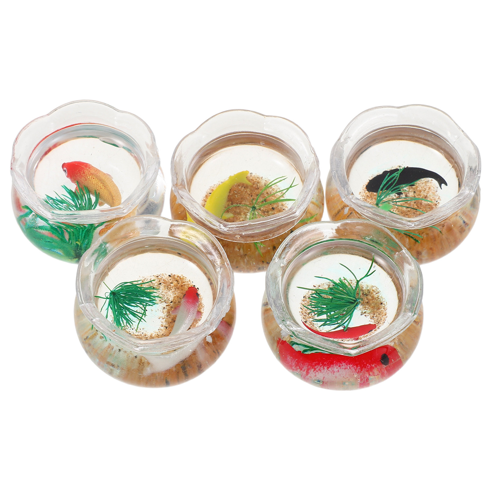 Set da 5 pezzi per un piccolo  - Planted Tank recensione e prezzo