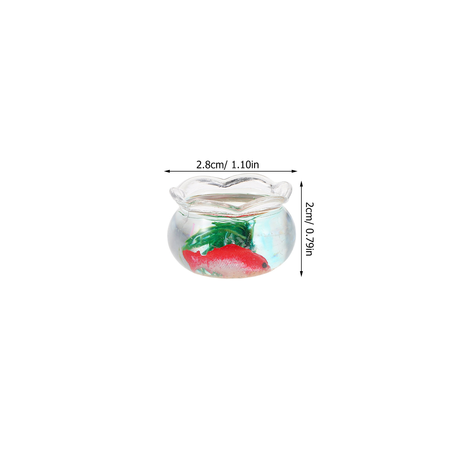 Set da 5 pezzi per un piccolo  - Planted Tank recensione e prezzo
