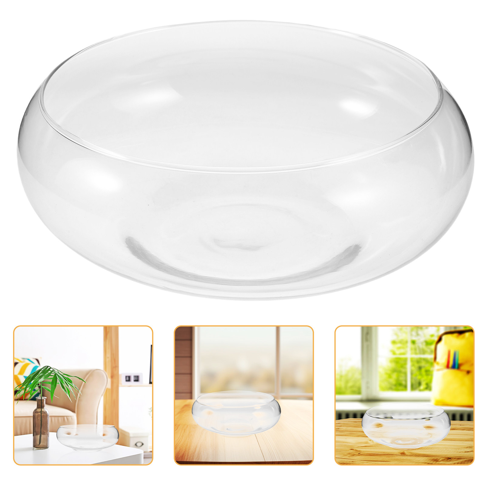 Vaso in vetro per piante idrop - Planted Tank recensione e prezzo