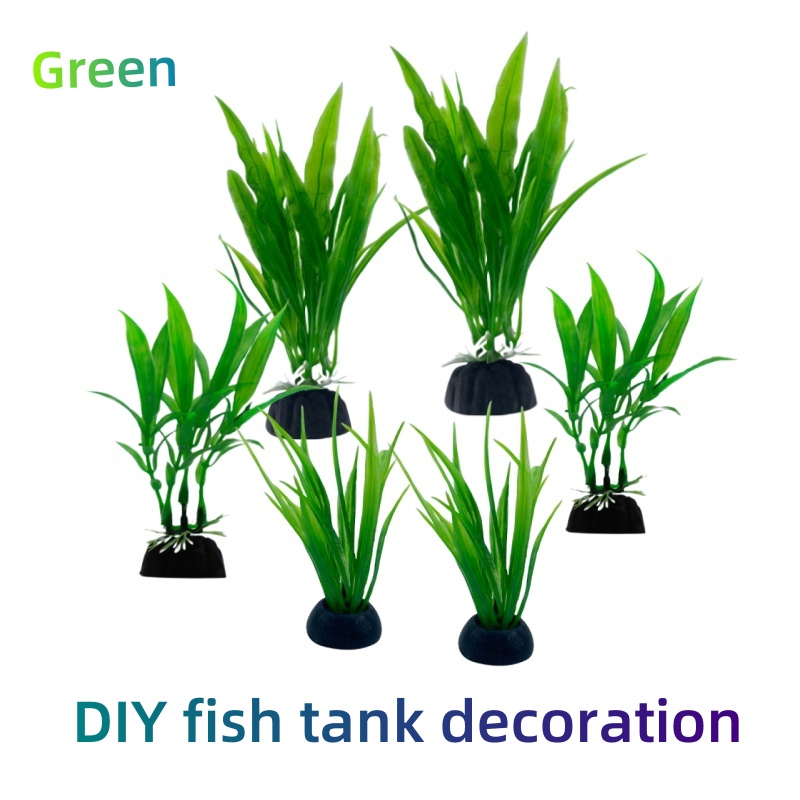 Confezione da 6 pezzi di piant - Aquarium Plants Live recensione e prezzo