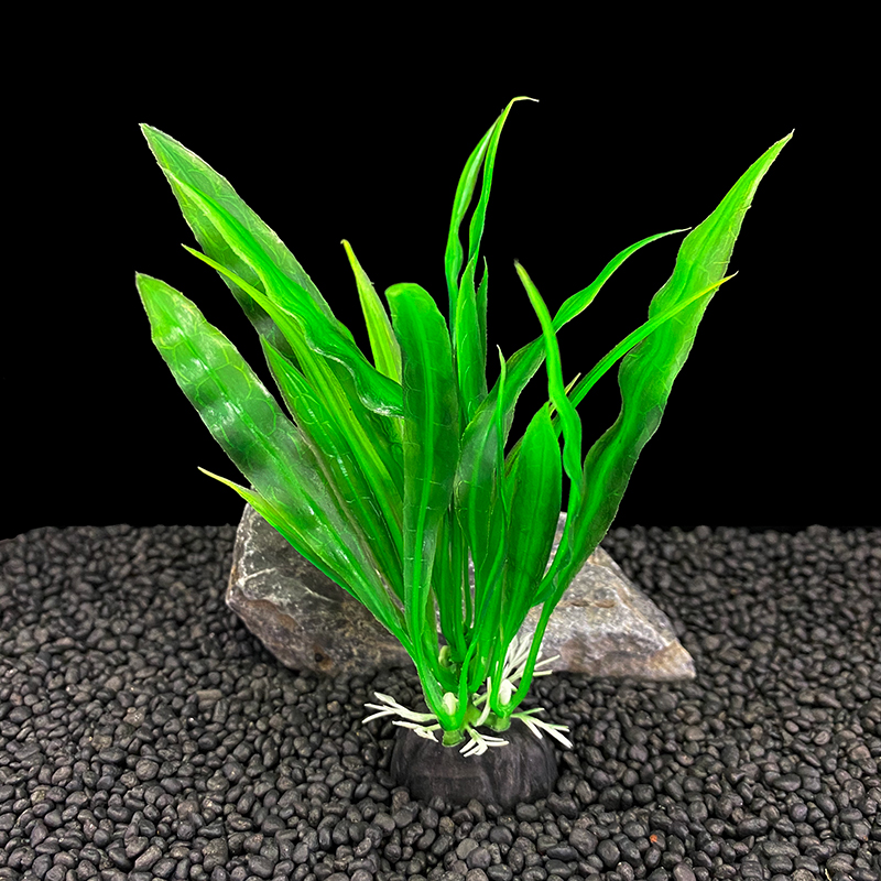 Confezione da 6 pezzi di piant - Aquarium Plants Live recensione e prezzo