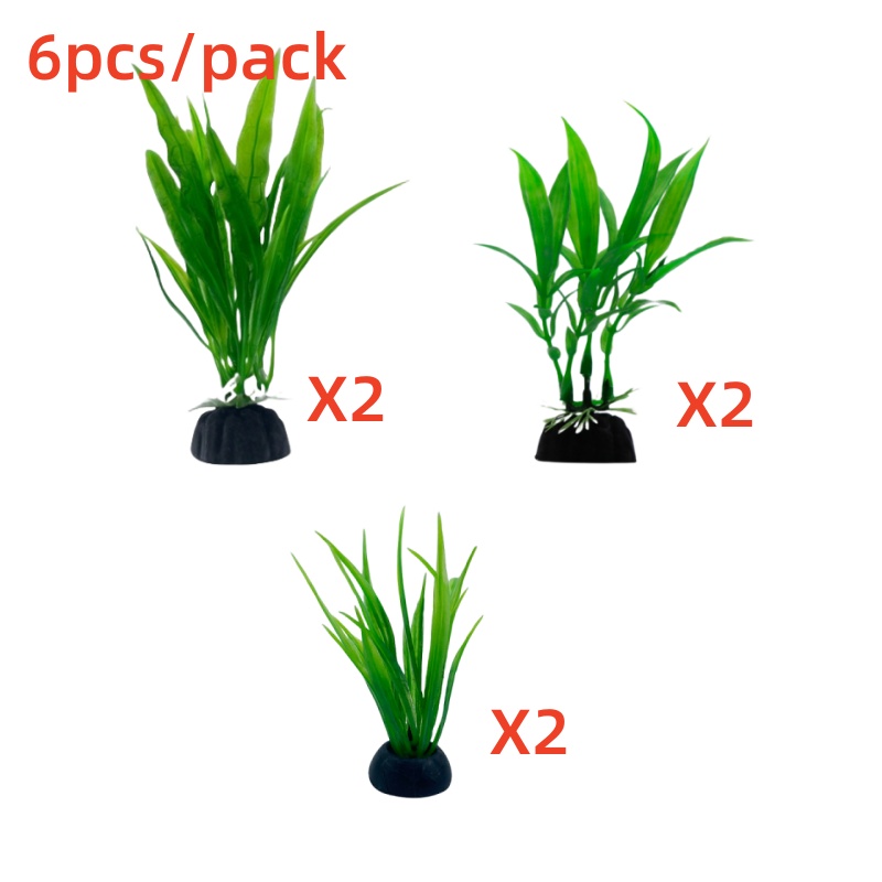 Confezione da 6 pezzi di piant - Aquarium Plants Live recensione e prezzo